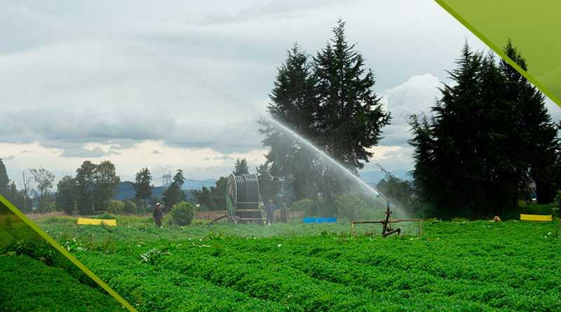 Ambito Medio Ambiental